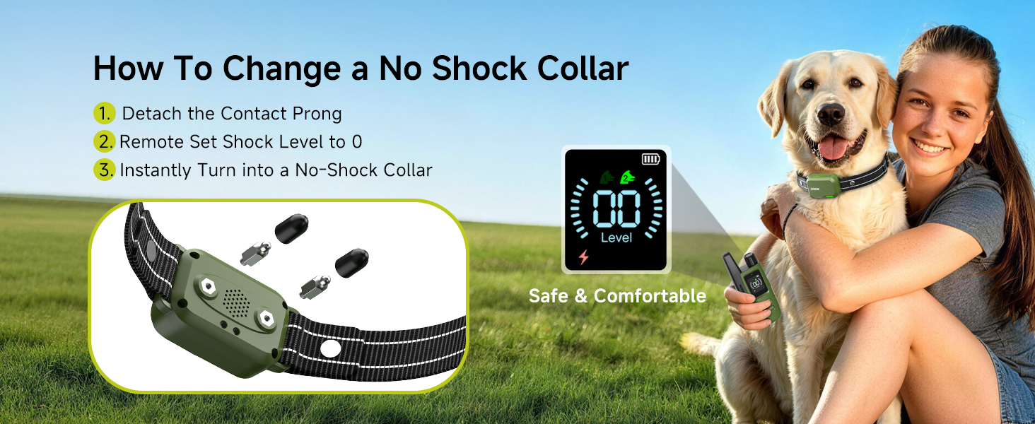 shock collar