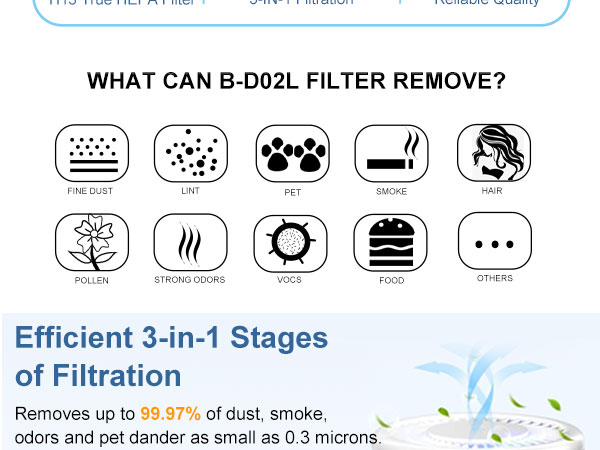 b-d02l replacement filter