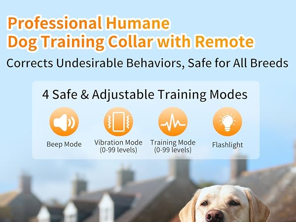 dog training collar with remote 1