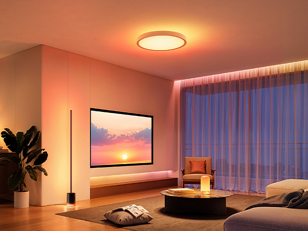 govee dreamview for your home