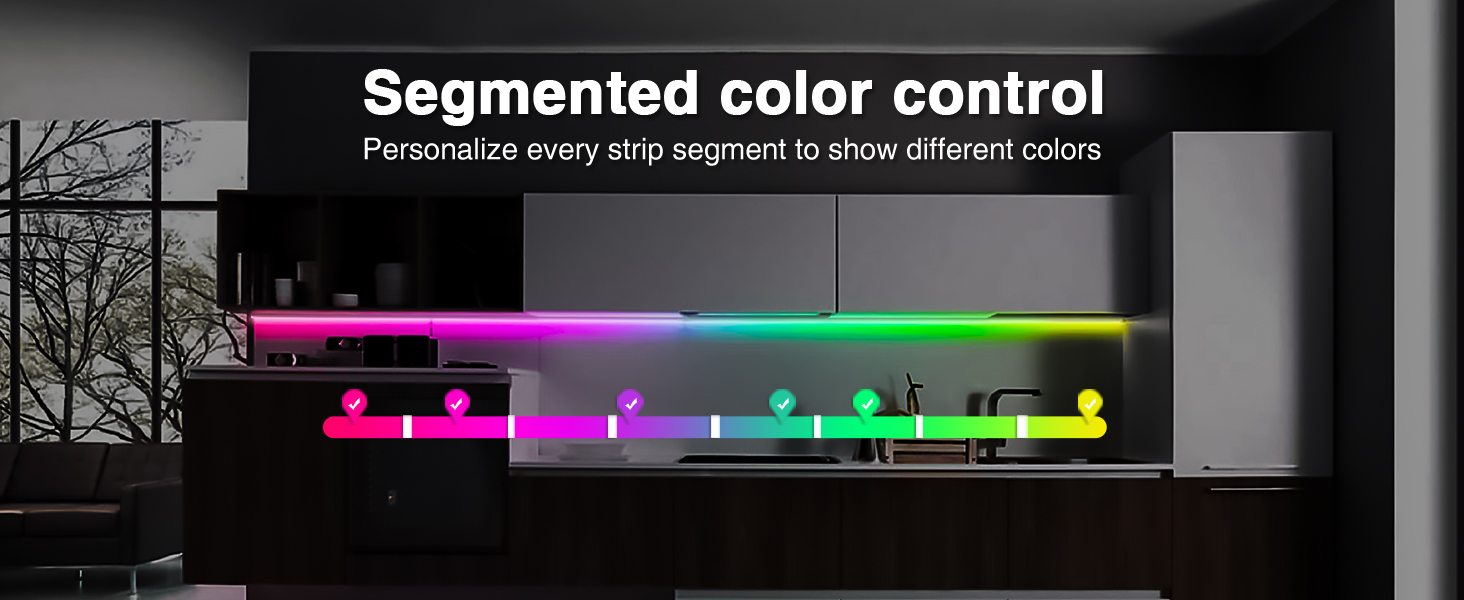 segmented color control