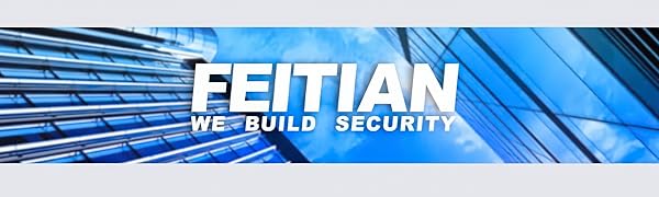 FEITIAN Logo