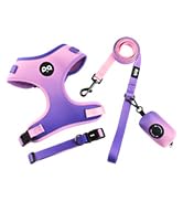 purple dog collar harness leash set