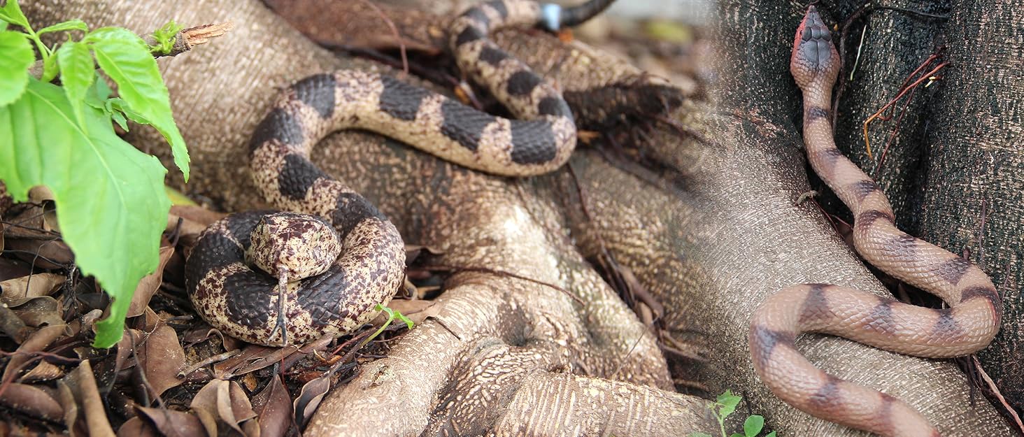 fake snake realistic