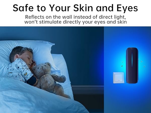 Burlan gnat traps for house indoor