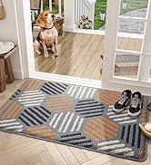 Color G Indoor Door Mat,Super Absorbent Rugs for Entryway Front Door Mat, Non Slip Washable Resis...