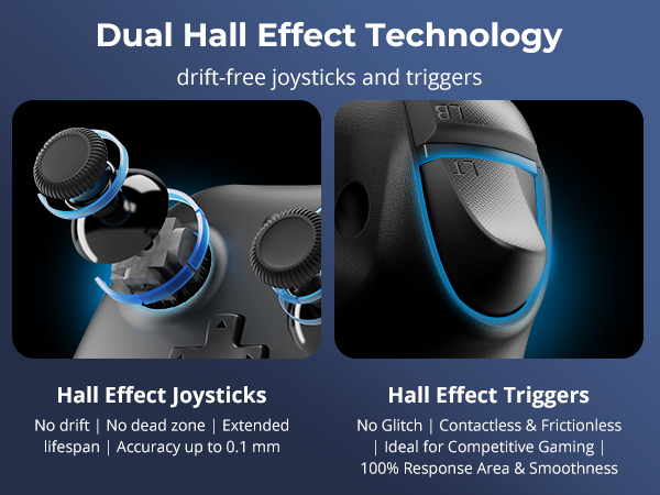 Dual Hall Effect
