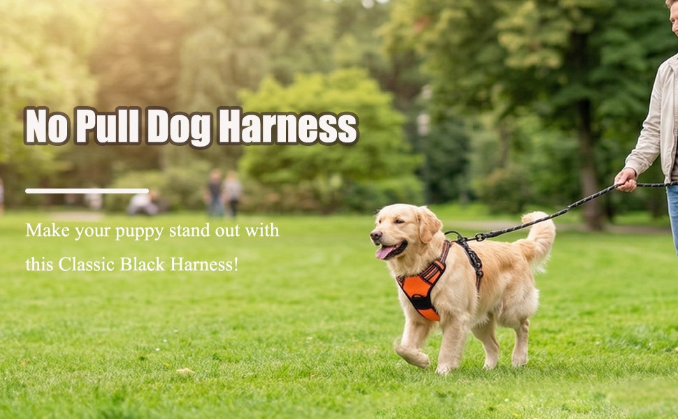 Dog Harness No Pull with 2 Leash Clips, Adjustable Soft Padded, Reflective Oxford No Choke Pet Vest