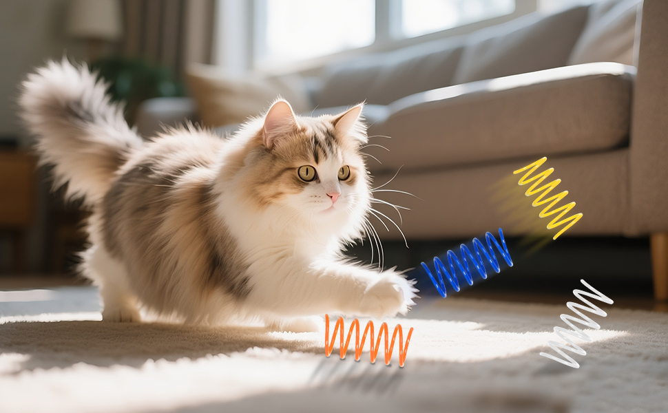 cat spring toys
