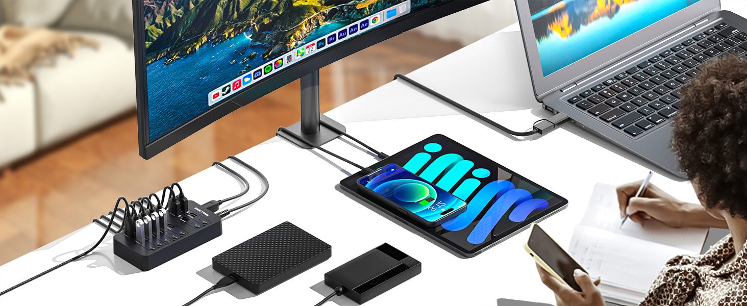 SENTANK Powered USB Hub