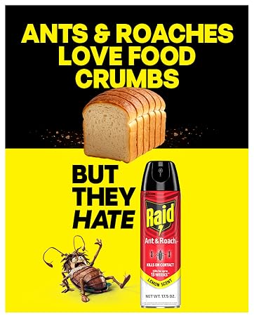 Bugs Hate Raid