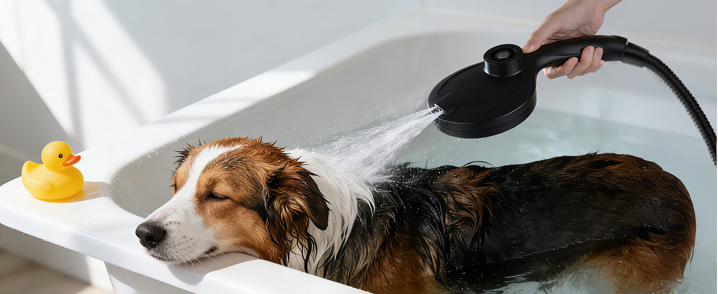 hand held shower head