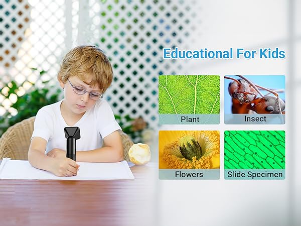 APEXEL 800X Handheld Digital Microscope