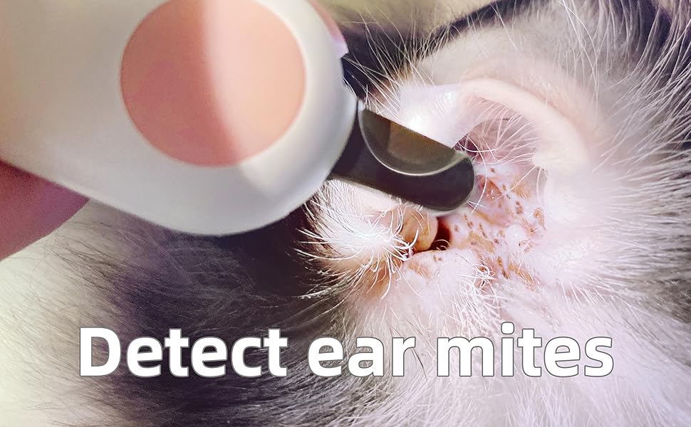 Detect ear