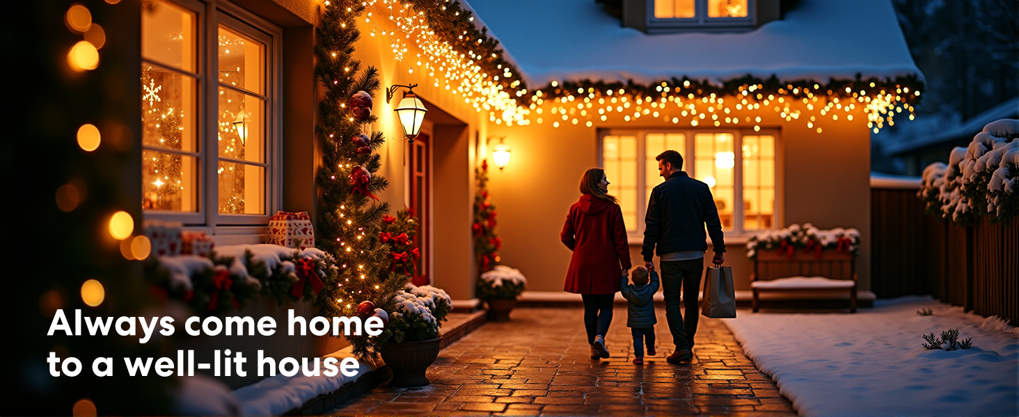 Smart light switch Christmas