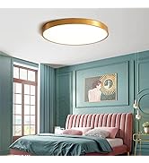 12 Inch Gold LED Ceiling Light Fixture Flush Mount, 24W, 5000K Daylight White, 3200LM, Flat Moder...