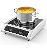 Portable Induction Cooktop, Hot Plate Electric Burners for Cooking 1800W, 9 Temp Levels, 3 Hours ...