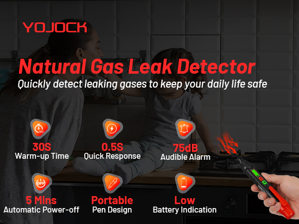 Natural Gas Leak Detector