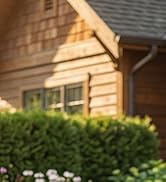 12V cordless grass shear and hedge trimmer