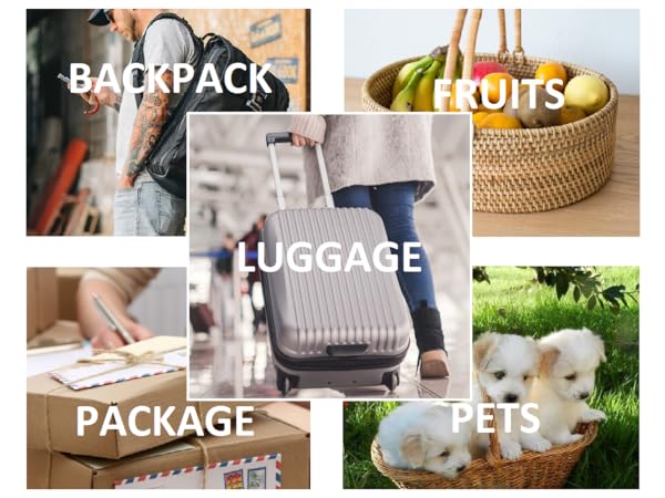 EL980 Versatility Mobile