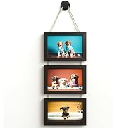 WARM&amp;LOVE 4x6 Inch Hanging Picture Frames with 3 Openings, Rustic Wood Wall Photo Frame, Picture ...