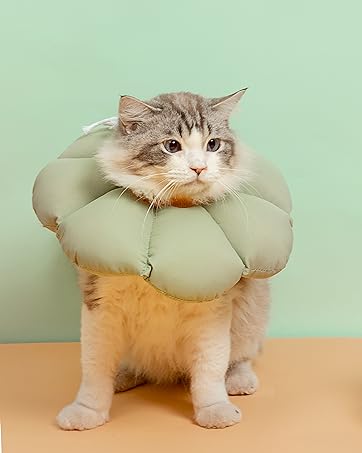 https://m.media-amazon.com/images/S/aplus-media-library-service-media/c56e9c53-2747-42ce-8bfa-4e7244d9813e.__CR0,0,3500,4380_PT0_SX362_V1___.jpg