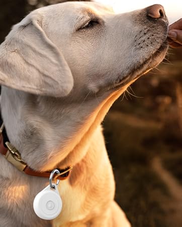 Airtag Holder for dog collar