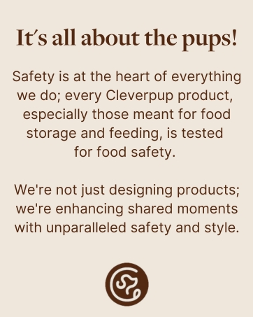 Cleverpup Brand Story Slide 1.jpg