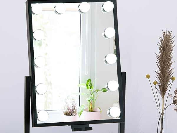 Vanity Mirror with Lights