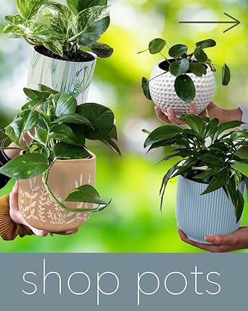 pots