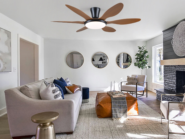 cieling fan