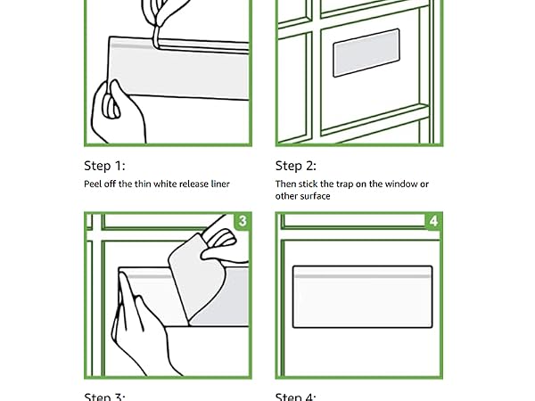 Window fly trap