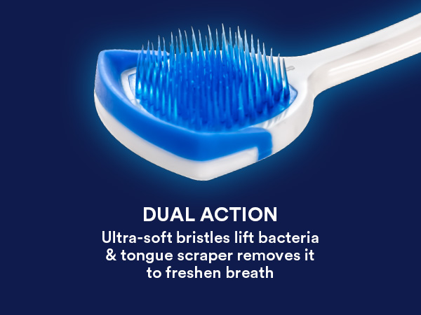 bristles