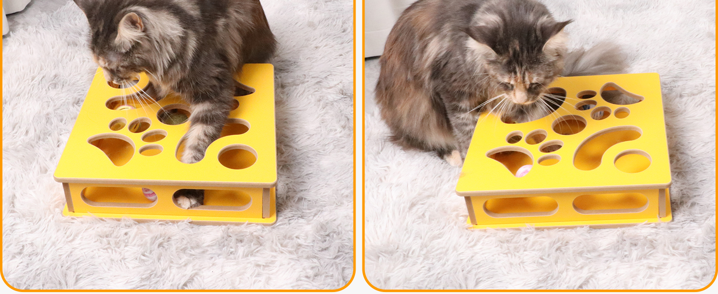DI BI GRAMAS Cat Interactive Box Puzzle Toy