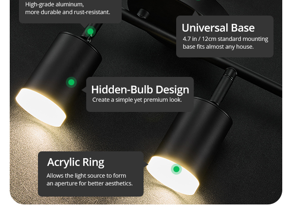 black ceiling track light