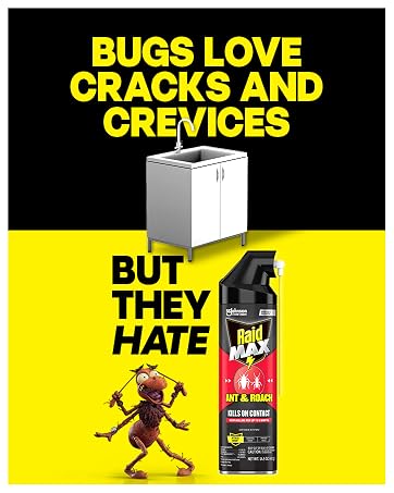 Bugs Hate Raid