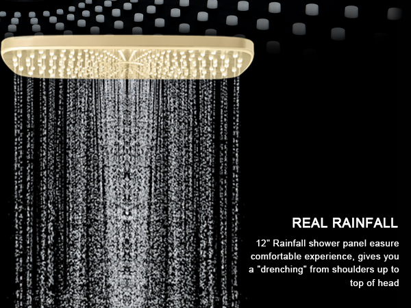 shower head with handheld