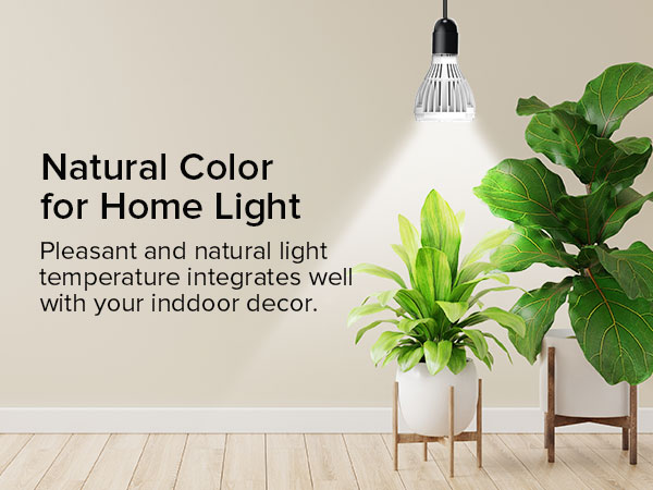 PAR25 24W GROW LIGHT BULB