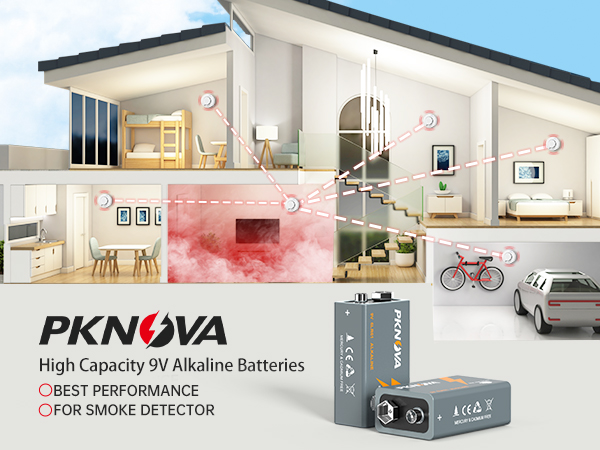 Pknova 6lr61