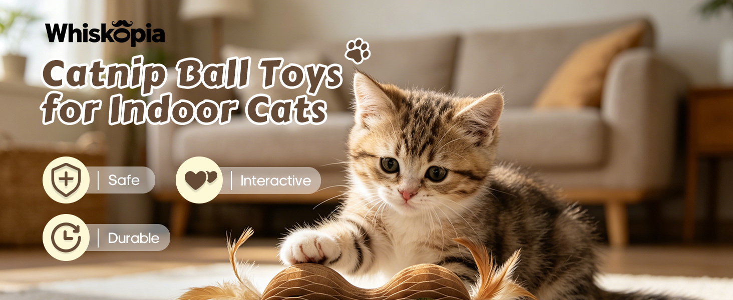 catnip ball toys
