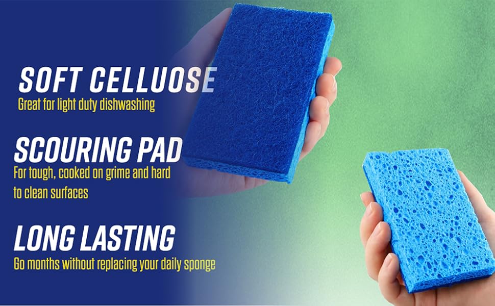 dish sponge