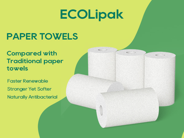 paper towel