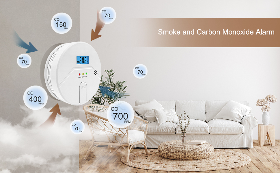 smoke and carbon monixide