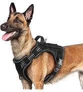 rabbitgoo Dog Harness for Small Medium Large Sized Dogs, No Pull Military Tactical Service Vest w...
