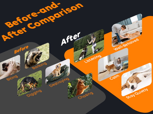 dog bark deterrent devices