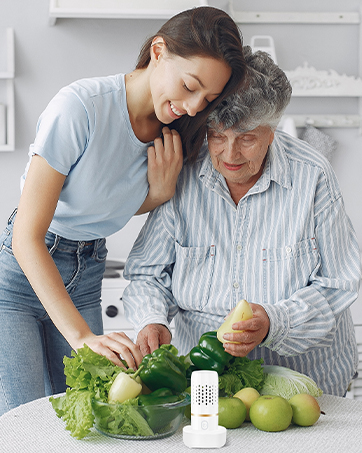 Fruit and Vegetable Purifier