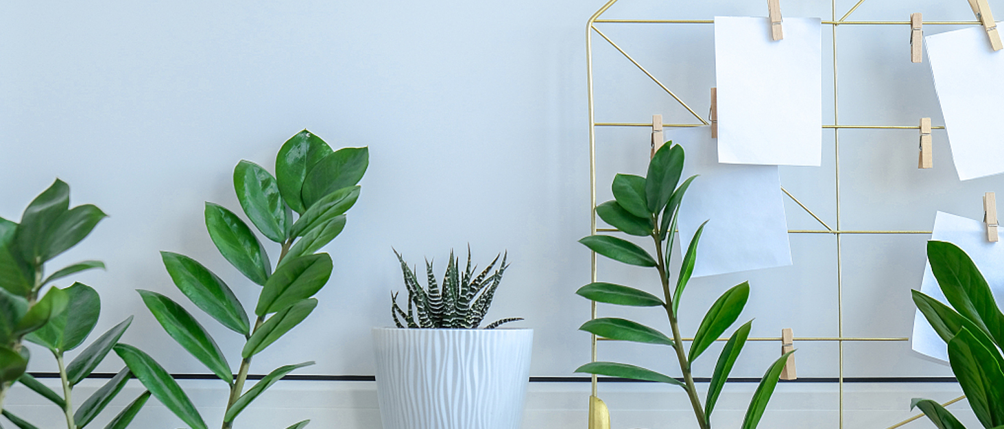 fake plants