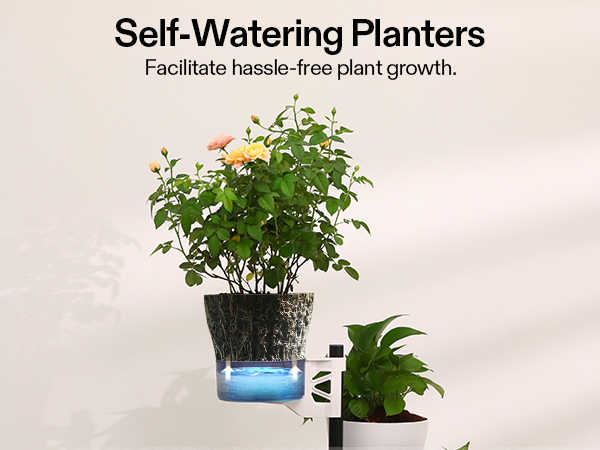self-watering planters