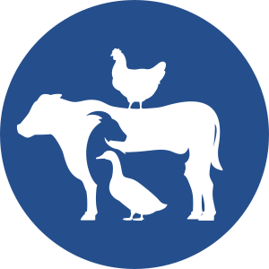 Vetforce