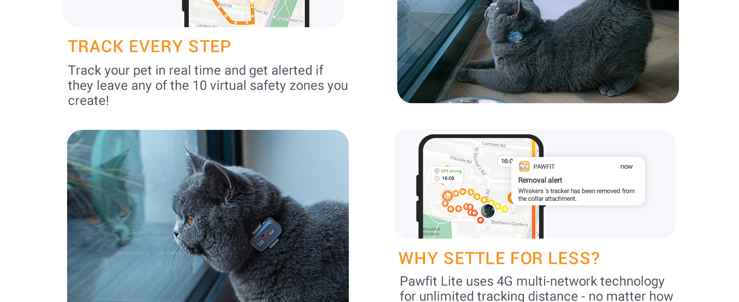 pawfit